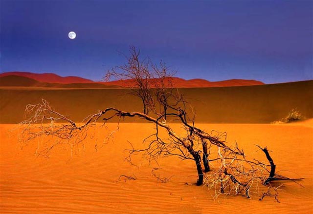 3 Robert Horvat Kavir desert